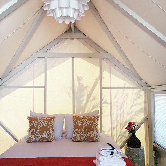 Camp Coyoacan Порт-Аранзас Екстер'єр фото